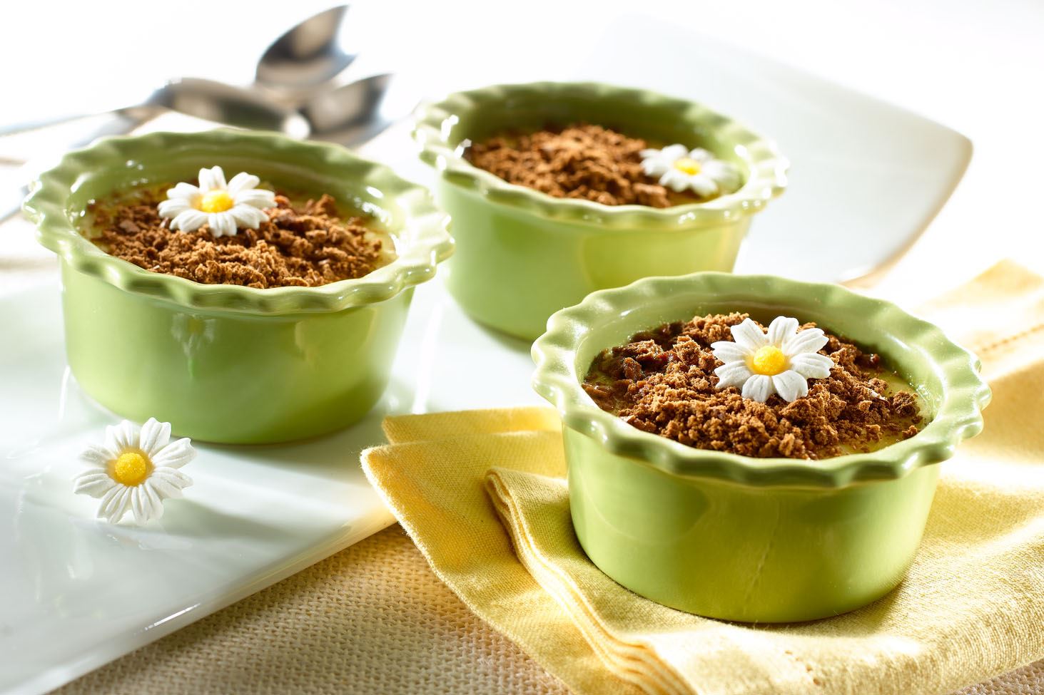 Creamy Coconut Custard with Chocolate Crumbles